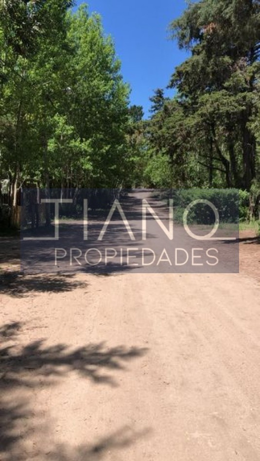 CABAÑAS EN MAR AZUL