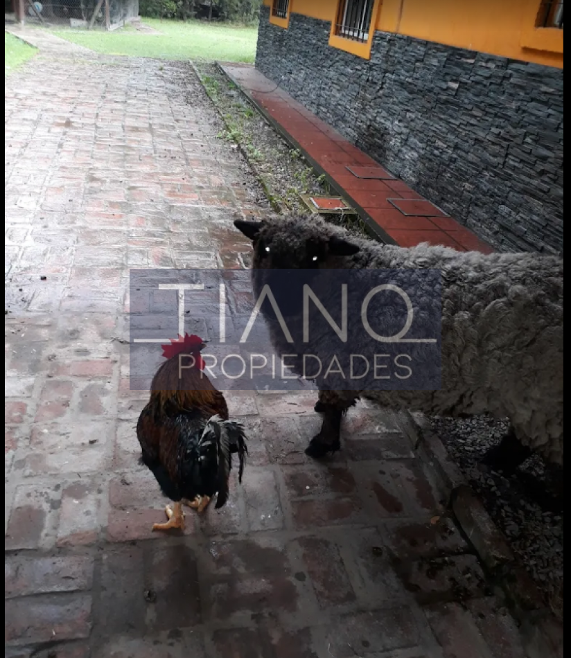 Quinta para 2 Familias 