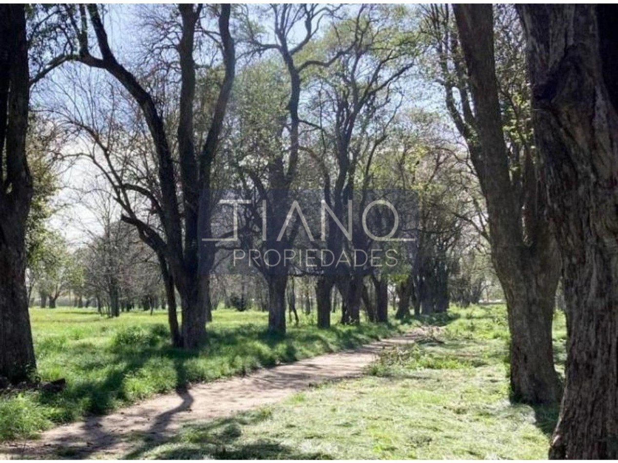 VENTA CASA 4 AMB JARDIN - CLUB PRIVADO EN MONTE GRANDE